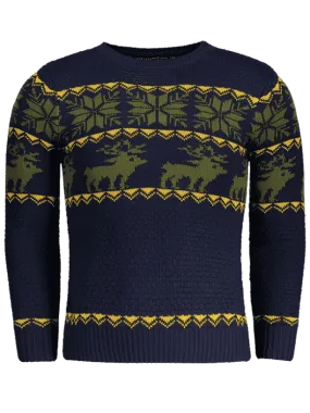 Trendy Crew Neck Jacquard Sweater