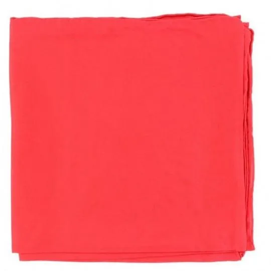 Wild Rag Red Silk 35x35 RD 0903004